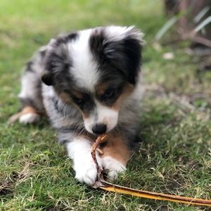 Meet your Posher, Vivian